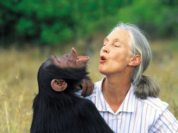 Jane Goodall. 