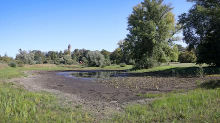 See weg. Der Kindermannsee im Park Babelsberg hat einen großen Teil seines Wassers verloren.