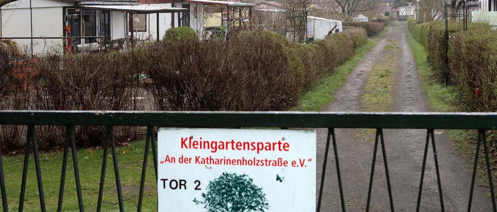 Die Zukunft der Kleingartenanlage an der Katharinenholzstraße ist ungewiss.