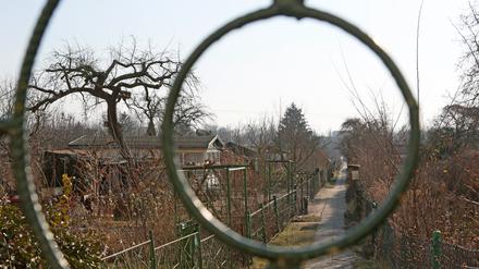 Die Kleingartensparte Süd-West Babelsberg e.V. scheint geklärt. Zwei Drittel der Gärten werden erhalten. Doch jetzt hat der Kleingartenverband die Sparte verklagt.