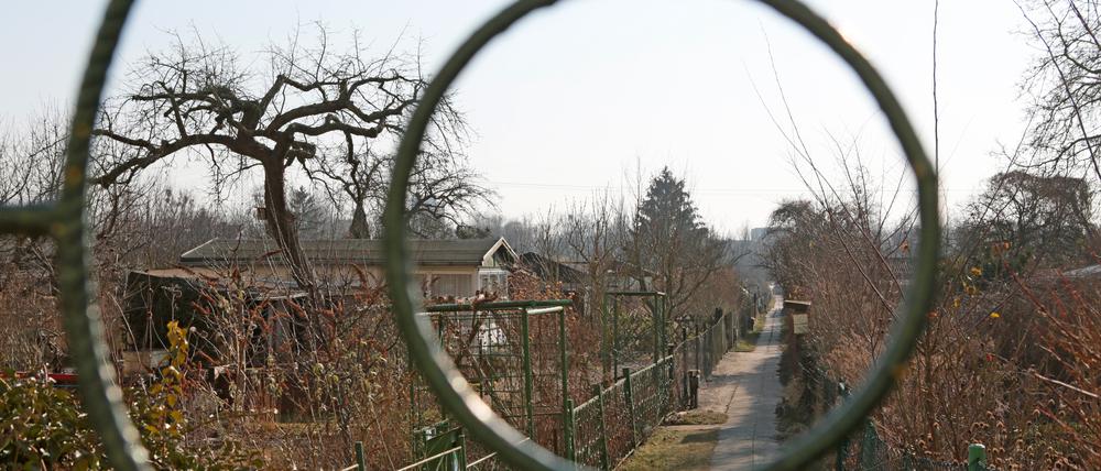 Die Kleingartensparte Süd-West Babelsberg e.V. scheint geklärt. Zwei Drittel der Gärten werden erhalten. Doch jetzt hat der Kleingartenverband die Sparte verklagt.