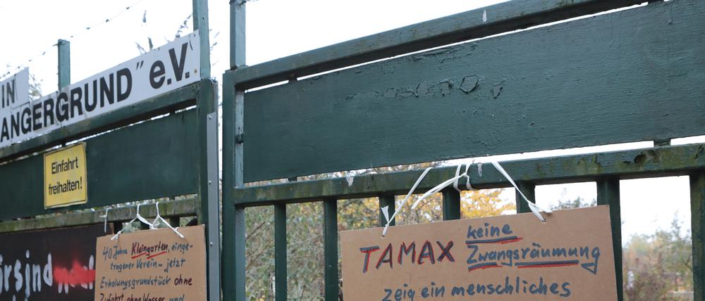 Tamax will in der teilweise geräumten Kleingartenanlage Angergrund in Babelsberg Wohnungen bauen. Mehr als ursprünglich angekündigt.