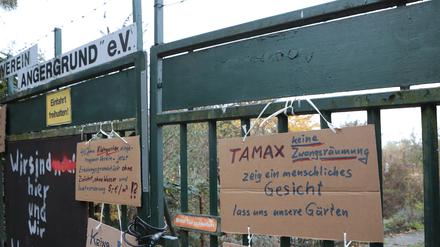 Tamax begann Anfang November die ersten Parzellen der Babelsberger Kleingartensparte Angergrund zu räumen.