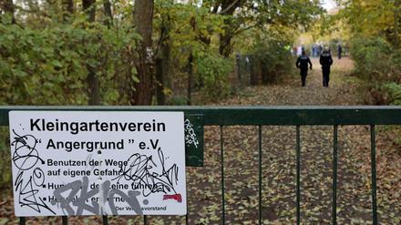 Ein Teil der Kleingartensparte "Angergrund" in Babelsberg wurde bereits geräumt.