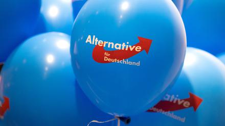 Auch die AfD hat einen Direktkandidaten für den Potsdamer Wahlkreis 61 nominiert. 