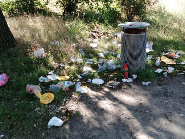 Ein großes Problem: Der Müll im Park Babelsberg.