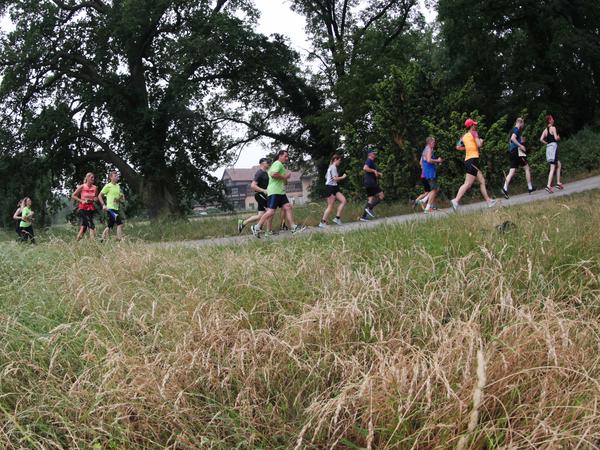 Wer beim Potsdamer Schlösserlauf mitmachen möchte, kann einen Halbmarathon oder zehn Kilometer hinter sich bringen.