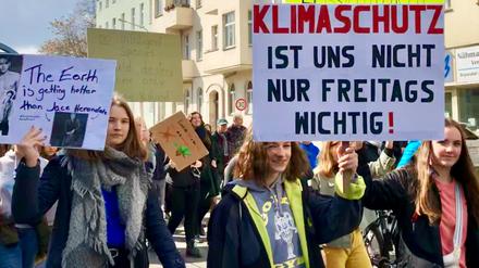 Demonstranten bei "Potsdam for Future" am Sonntag, dem 31. März.