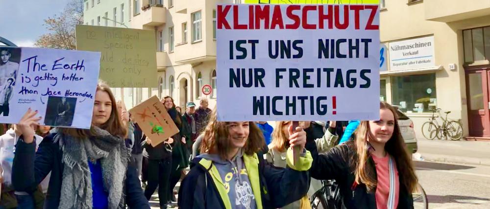 Demonstranten bei "Potsdam for Future" am Sonntag, dem 31. März.