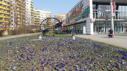 Potsdam blüht auf - die Blumenrabatten werden wieder bepflanzt.