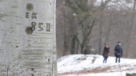Grenzsoldaten haben sich in den Buchen im Park Babelsberg verewigt.