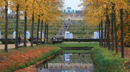 Schloss Sanssouci in Potsdam. 