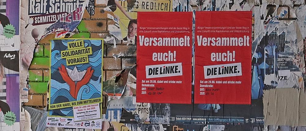 Fake-Plakate am Montag in Potsdam.