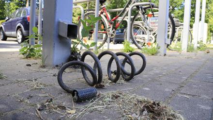 Fahrraddiebstahl in Potsdam: Derzeit gibt es in der brandenburgischen Landeshauptstadt vermehr Kellereinbrüche bei denen die Täter Fahrräder stehlen.