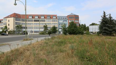 Der damalige Oberbürgermeister Jann Jakobs und damalige Sozial-Beigeordnete und heutige Oberbürgermeister besichtigen im Sommer 2017 das Wohngebiet Kirchsteigfeld. Damals wurden Bebauungspläne für bestehende Brachflächen wurden vorgestellt.