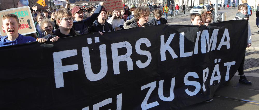 Hunderte Potsdamer Schüler demonstrierten im Februar für mehr Klimaschutz.