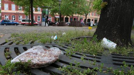 Am Bassinplatz in Potsdam liegt häufiger Müll rum. 