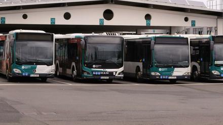 Künftig sind mehr Busse in Potsdams Norden unterwegs.