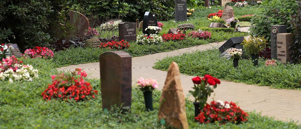 Seit zwei Jahren steht im Friedhofsgesetz, dass Grabsteine aus Kinderarbeit verboten sind.