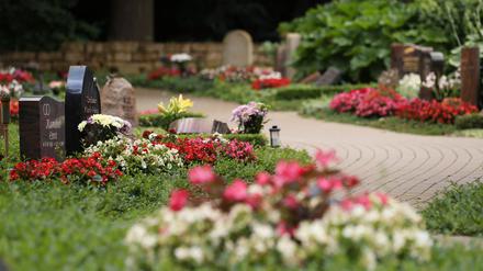 Die Gräber im „Garten der Erinnerung“ werden von den Friedhofsgärtnern mit Bodendeckern bepflanzt, die Blumen werden drei Mal jährlich je nach Saison ausgetauscht.