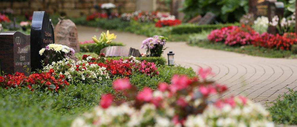 Die Gräber im „Garten der Erinnerung“ werden von den Friedhofsgärtnern mit Bodendeckern bepflanzt, die Blumen werden drei Mal jährlich je nach Saison ausgetauscht.