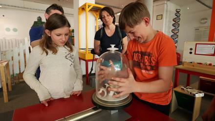 Im Extavium in Potsdam werden Kinder nicht nur exzellent unterhalten, sie lernen auch noch spielerisch Essenzielles aus den Naturwissenschaften.