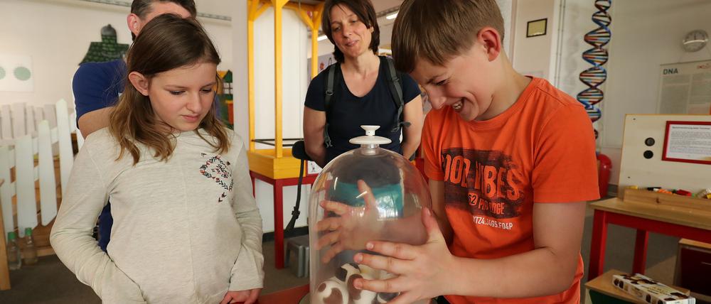 Im Extavium in Potsdam werden Kinder nicht nur exzellent unterhalten, sie lernen auch noch spielerisch Essenzielles aus den Naturwissenschaften.