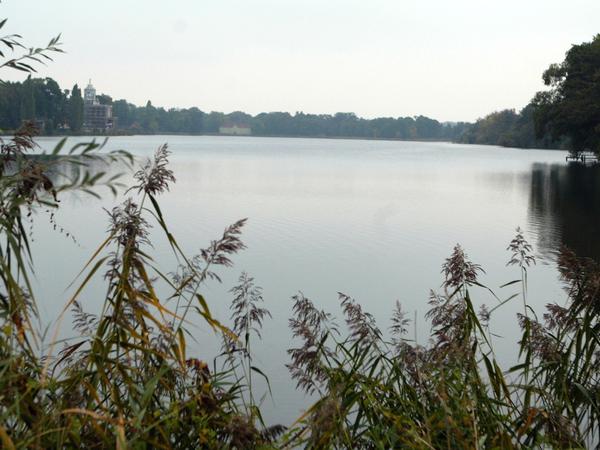 Potsdams Heiliger See.