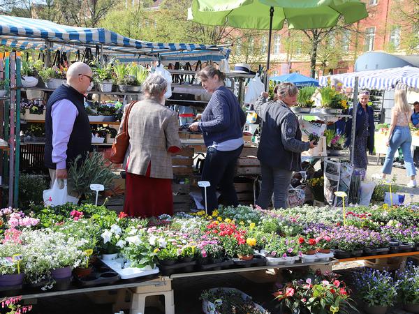 Auf dem Bassinplatz-Markt werden viele Pflanzen und Blumen angeboten.
