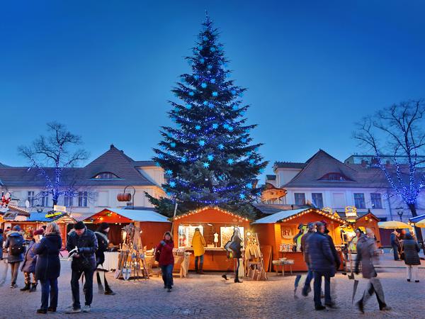 Der "Blaue Lichterglanz" auf der Brandenburger Straße ist der größte Weihnachtsmarkt in Brandenburg.