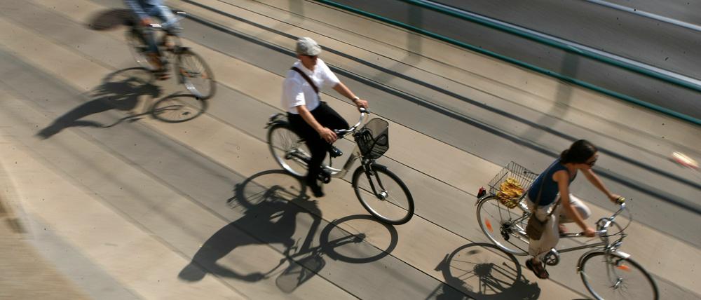 In Potsdam ist die Zahl der Radfahrer in den vergangenen Jahren deutlich gestiegen.