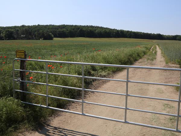 Der geplante Radweg für auch über die Weiden des Landwirtschaftsbetriebes von Familie Ruden in Fahrland.