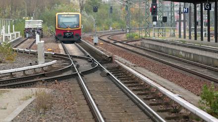 Das zweite Gleis am Hauptbahnhof Potsdam geht bald in Betrieb. Und künftig könnte es auch wieder ein zweites Gleis zwischen Griebnitzsee und Wannsee geben.