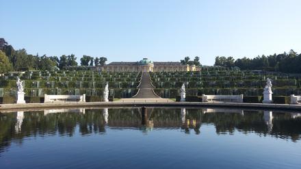 Derzeit ist der Park Sanssouci deutlich leerer Park als sonst. Die Schlosstreppen eignen sich gut für ein Mini-Workout.