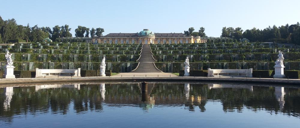 Derzeit ist der Park Sanssouci deutlich leerer Park als sonst. Die Schlosstreppen eignen sich gut für ein Mini-Workout.
