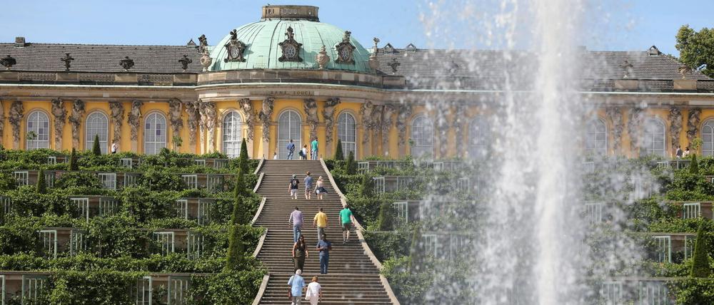Viele Wege führen durch Potsdams Welterbeparks. Einige wichtige sollen in den kommenden Jahren saniert werden.