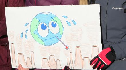 Schülerdemo "Friday for future". Etwa 300 Schüler demonstrierten auf dem Potsdamer Steubenplatz für Braunkohleverzicht und den Schutz der Umwelt.