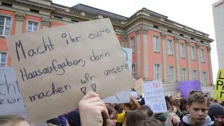 Seit Wochen demonstrieren Potsdams Schüler für den Klimaschutz.