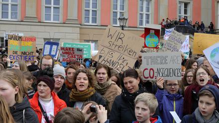 Die letzte Klima-Demo von Potsdamer Schülern fand am 15. März - einem Freitag - vor dem Landtag statt.