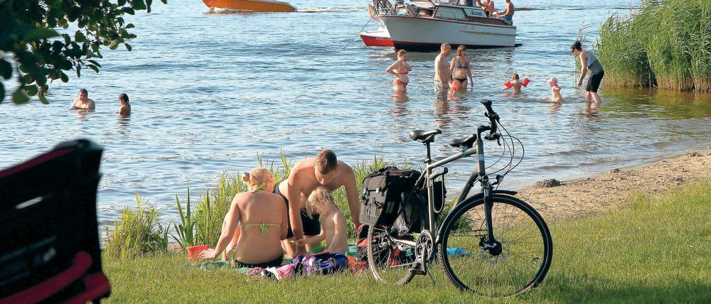 Im Sommer sind die wilden Badestellen im Park Babelsberg ein beliebtes Ausflugziel für die ganze Familie.