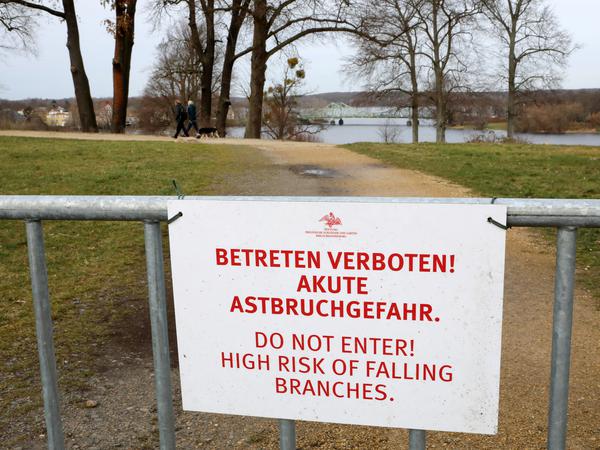 Im Park Babelsberg waren wegen der starken Trockenheit und akuter Astabbruchgefahr 2020 Wege gesperrt.