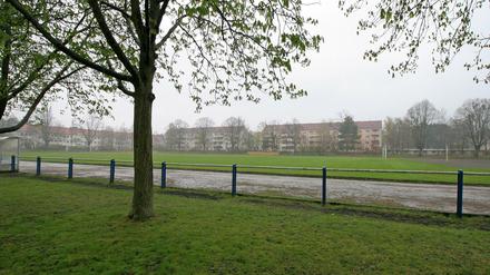 Auf dem Sportplatz Sandscholle könnte die neue Grundschule entstehen.