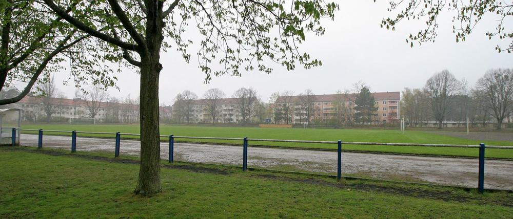 Auf dem Sportplatz Sandscholle könnte die neue Grundschule entstehen.