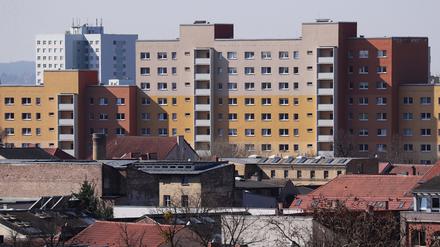 Vonovia und Deutsche Wohnen haben derzeit rund 4000 Wohnungen in Potsdam.