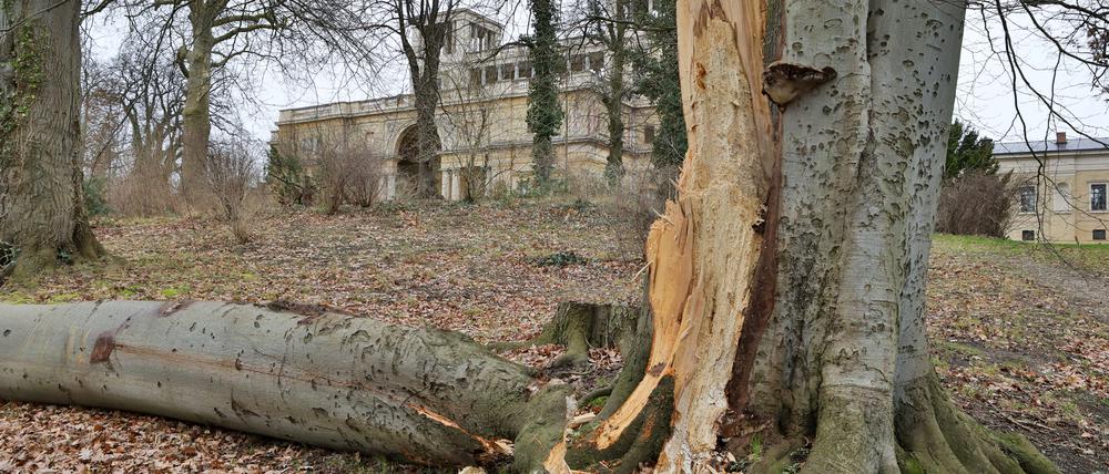 In Parks der Schlösserstiftung stürzten viele Bäume um oder wurden entwurzelt.