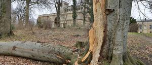 In Parks der Schlösserstiftung stürzten viele Bäume um oder wurden entwurzelt.