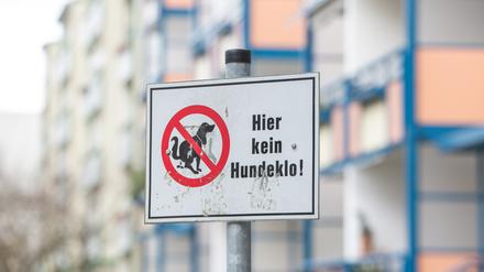 Hundekot muss in Potsdam beseitigt werden - das regelt die Stadtordnung.