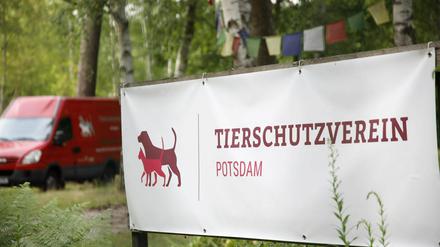 Es ist endlich soweit: Der Tierschutzverein eröffnet das Tierheim in der Michendorfer Chausee.