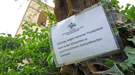 Im Sommer sperrte die Schlösserstiftung immer wieder Teile der Parkanlagen in Potsdam.