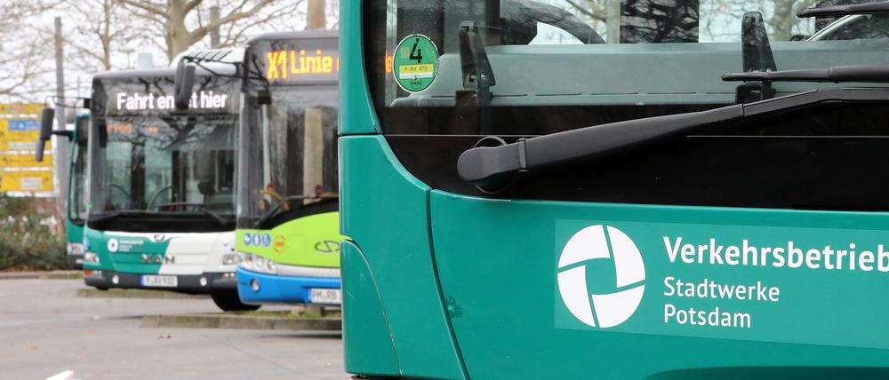 Die Busflotte des Potsdamer Verkehrsbetriebes soll nach und nach ersetzt werden.